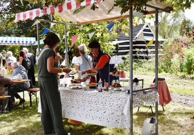 DSC_0012 (800x509).jpg